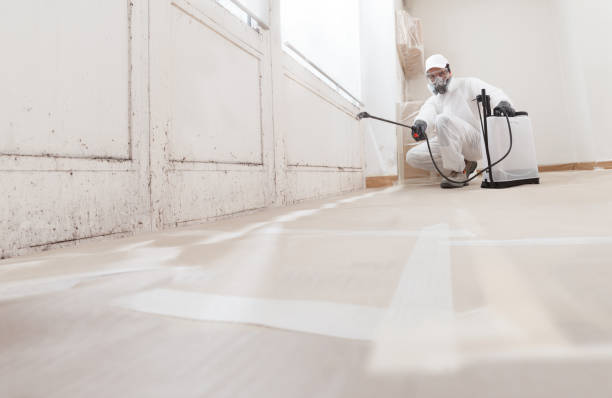 24/7 Emergency Mold Remediation experts in Washington, DC